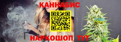a pvp Свободный