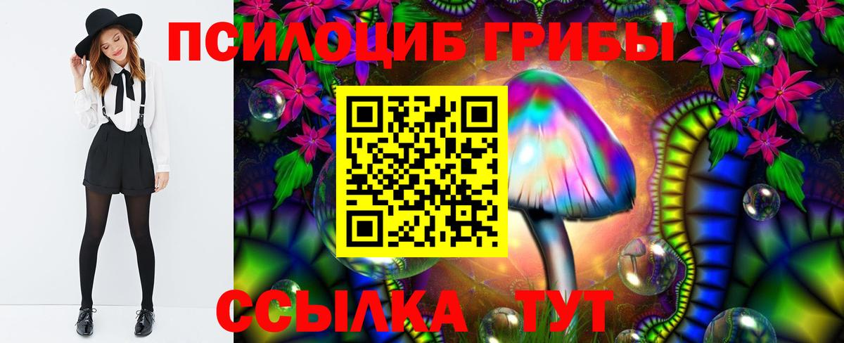 Псилоцибиновые грибы GOLDEN TEACHER Бердск
