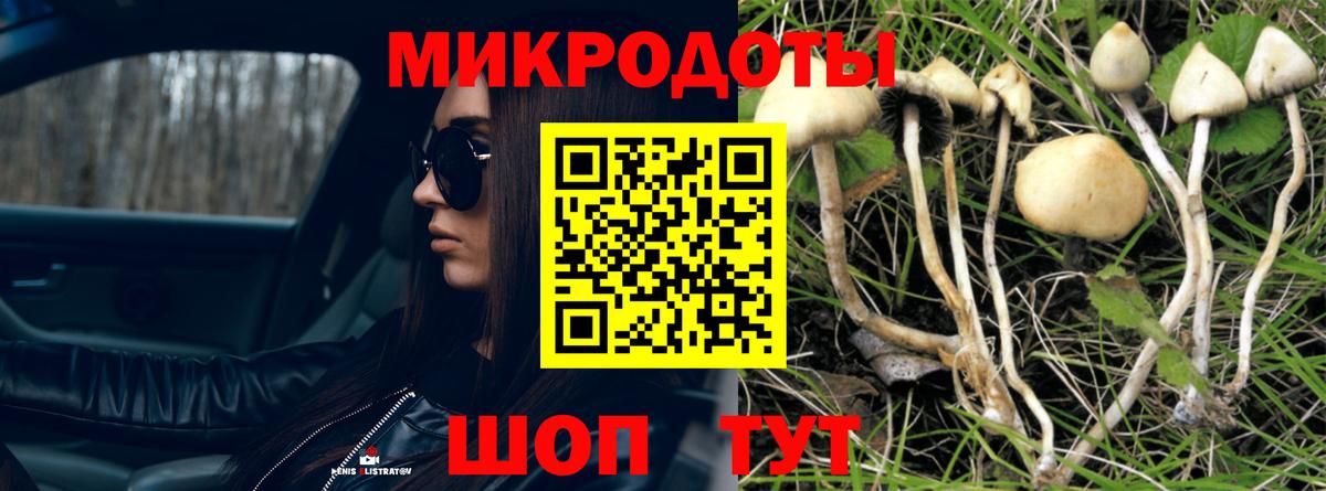 Бердск  Галлюциногенные грибы Cubensis  Вход с VPN 